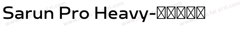 Sarun Pro Heavy字体转换